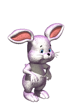 Bunny